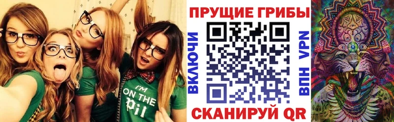 Псилоцибиновые грибы ЛСД  mega маркетплейс  Курчалой 